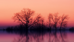 大洋洲篮坛劲旅夺得全球篮球巅峰赛冠军