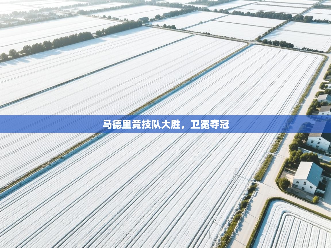 马德里竞技队大胜，卫冕夺冠  第2张