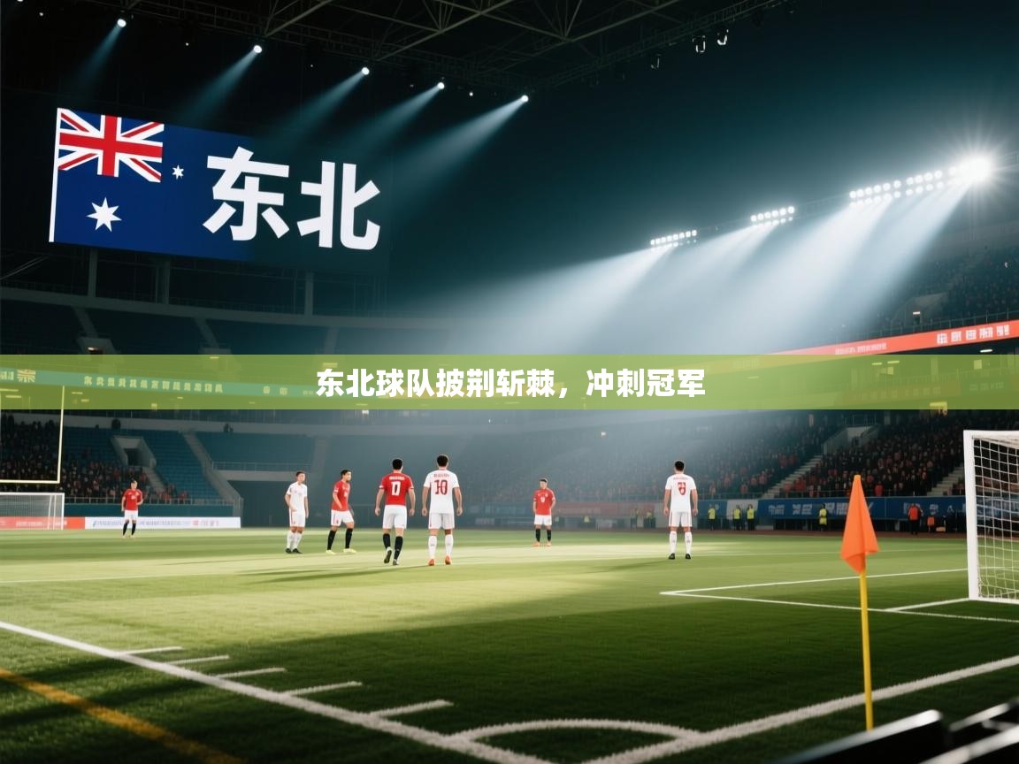 东北球队披荆斩棘,冲刺冠军 第2张