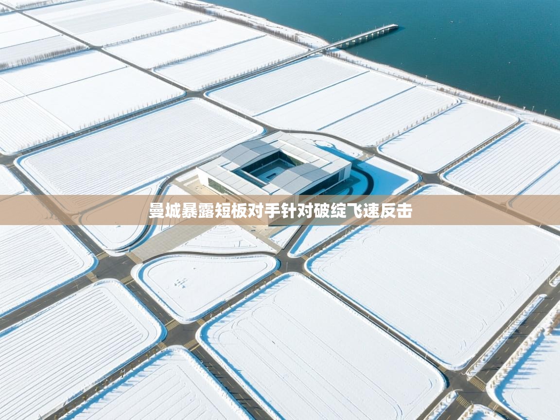 曼城暴露短板对手针对破绽飞速反击 第2张