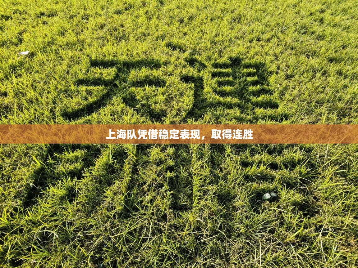 上海队凭借稳定表现，取得连胜  第2张