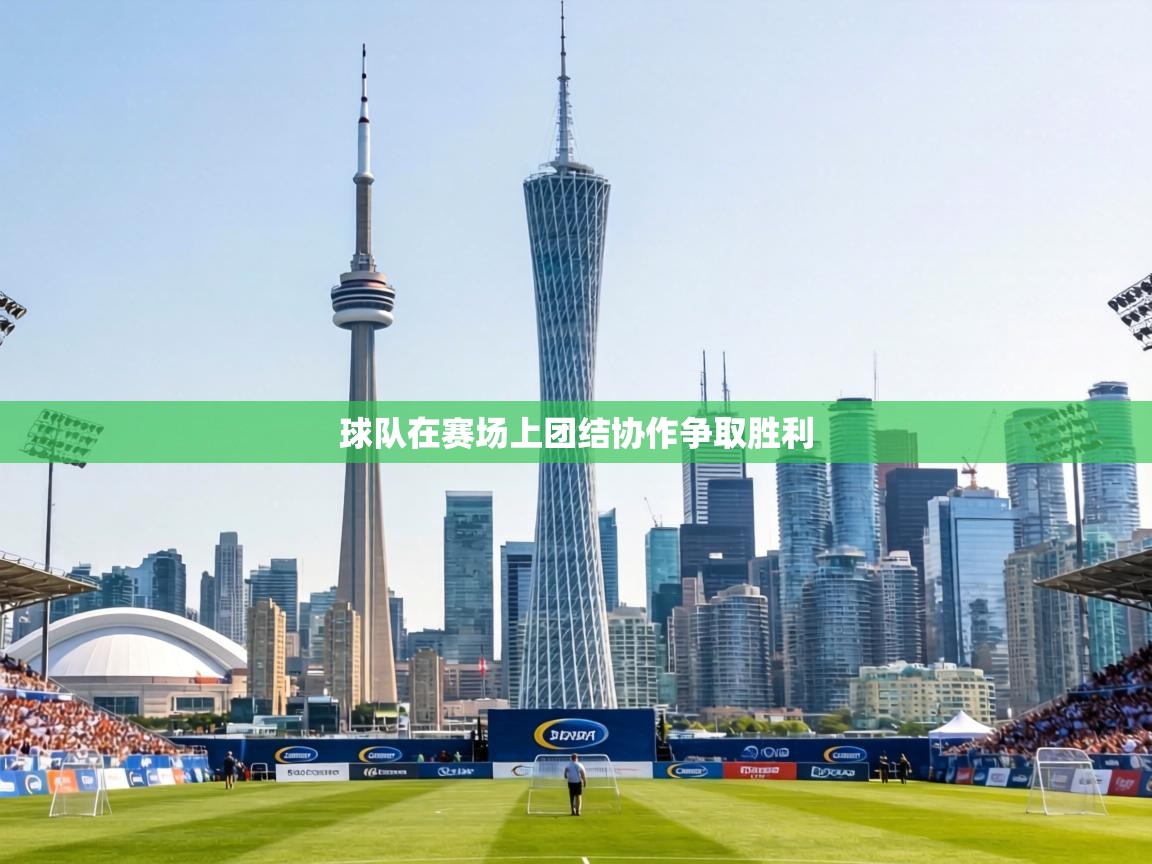 球队在赛场上团结协作争取胜利 第1张